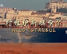 野性伊斯坦布爾粵語(全集)