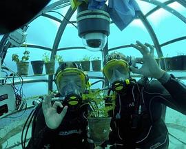 海洋大寶藏粵語(全集)