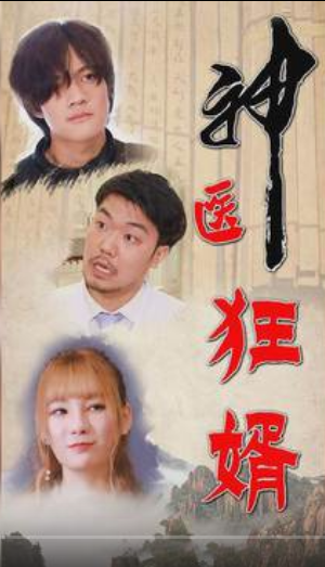 神醫狂婿(全集)
