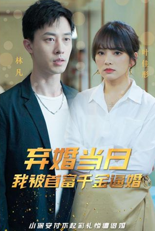 棄婚當日，我被首富千金逼婚(全集)