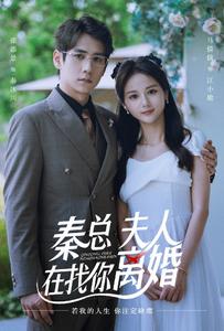 秦總，夫人在找你離婚(全集)