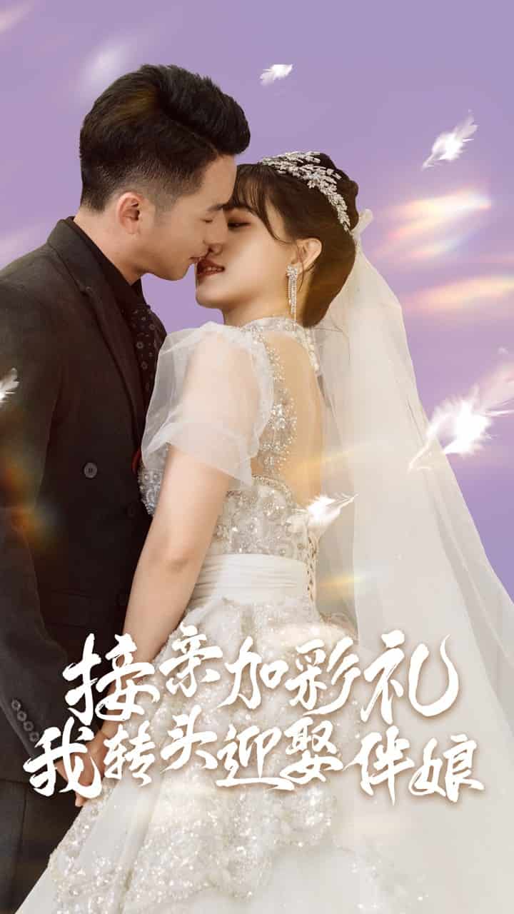 接親加彩禮，我轉頭迎娶伴娘(全集)