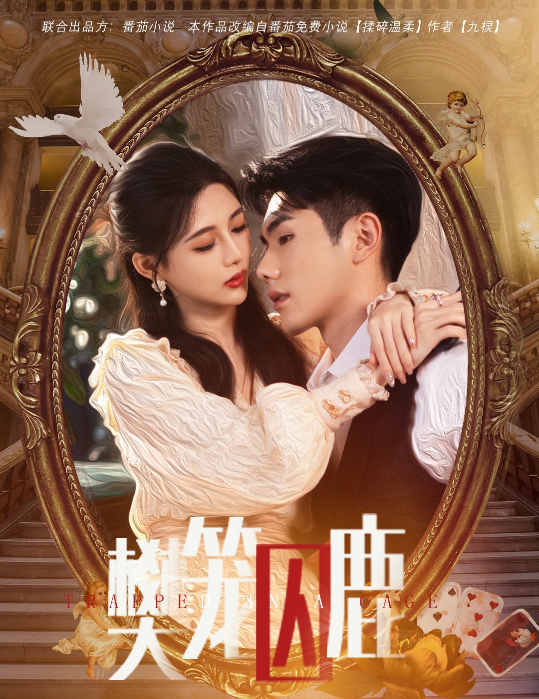 偏執大佬的金絲雀(全集)