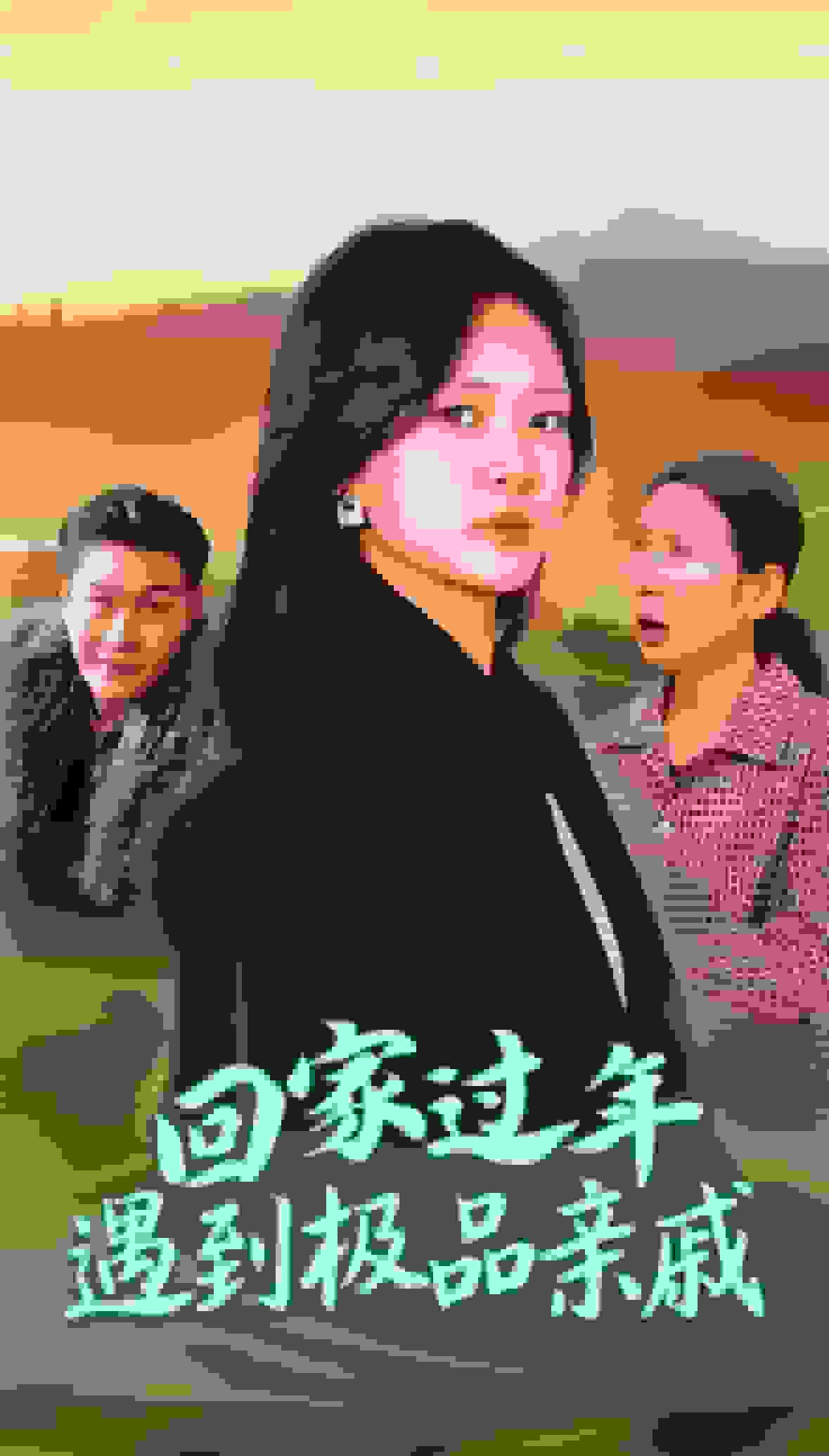 回家過(guò)年遇到極品親戚(全集)