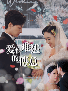 愛恨難逃的傅總第38集