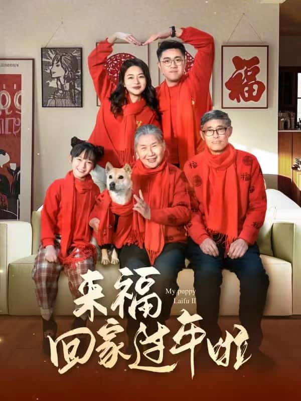 來?；丶疫^年啦(全集)