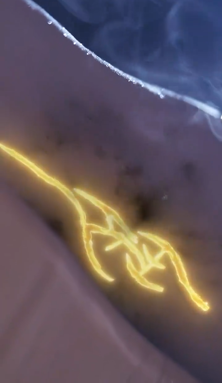 緣來(lái)仙妻就是你(全集)