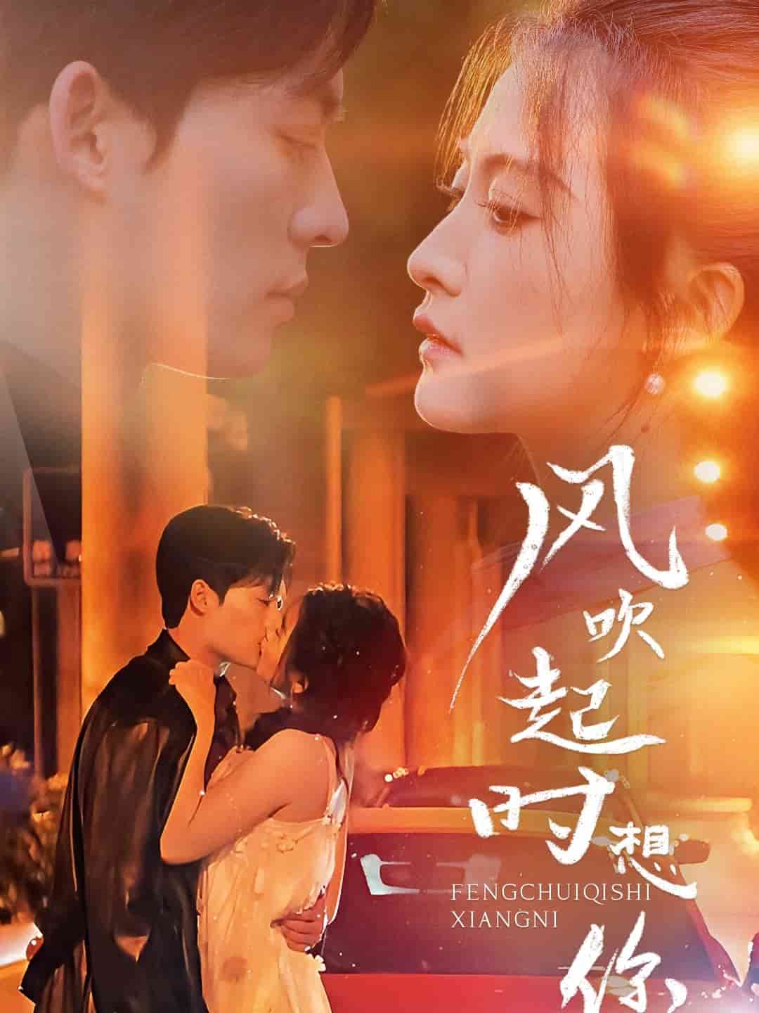 風吹起時想你(全集)