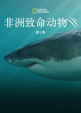 非洲致命動物第七季(全集)