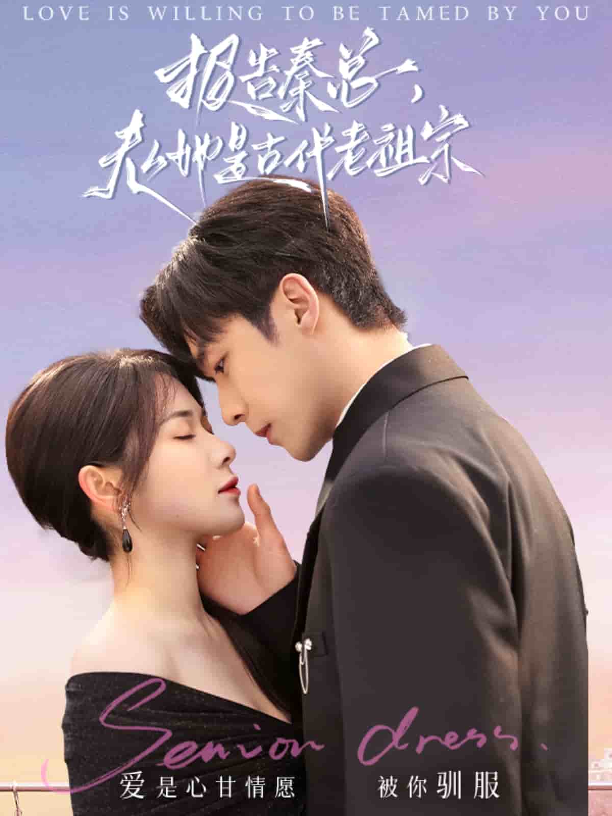 報告秦總，夫人她是古代老祖宗(全集)