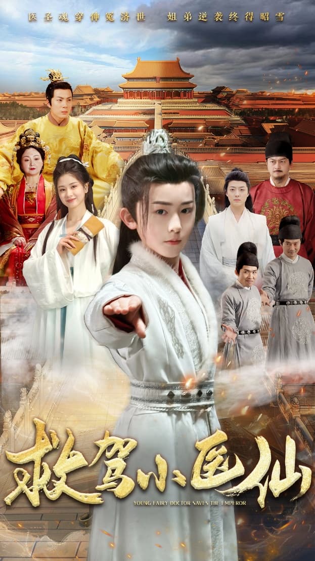 救駕小醫仙(全集)