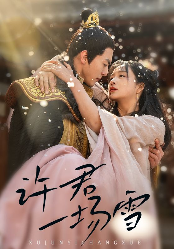 許君一場雪(全集)