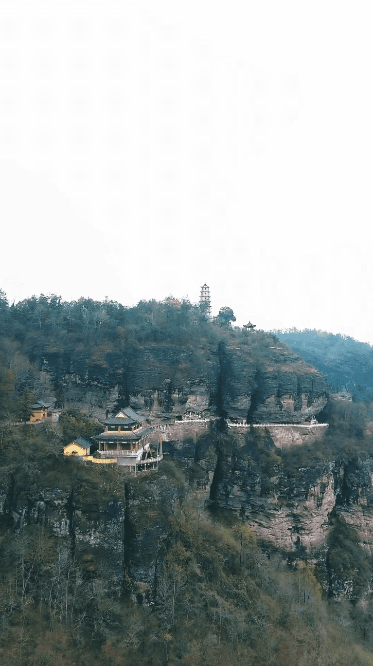 功夫萌寶神算爹(全集)