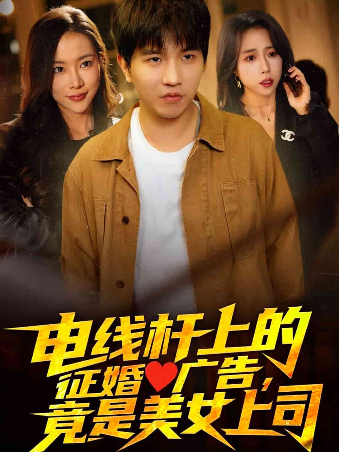 電線桿上的征婚廣告，竟是美女上司(全集)