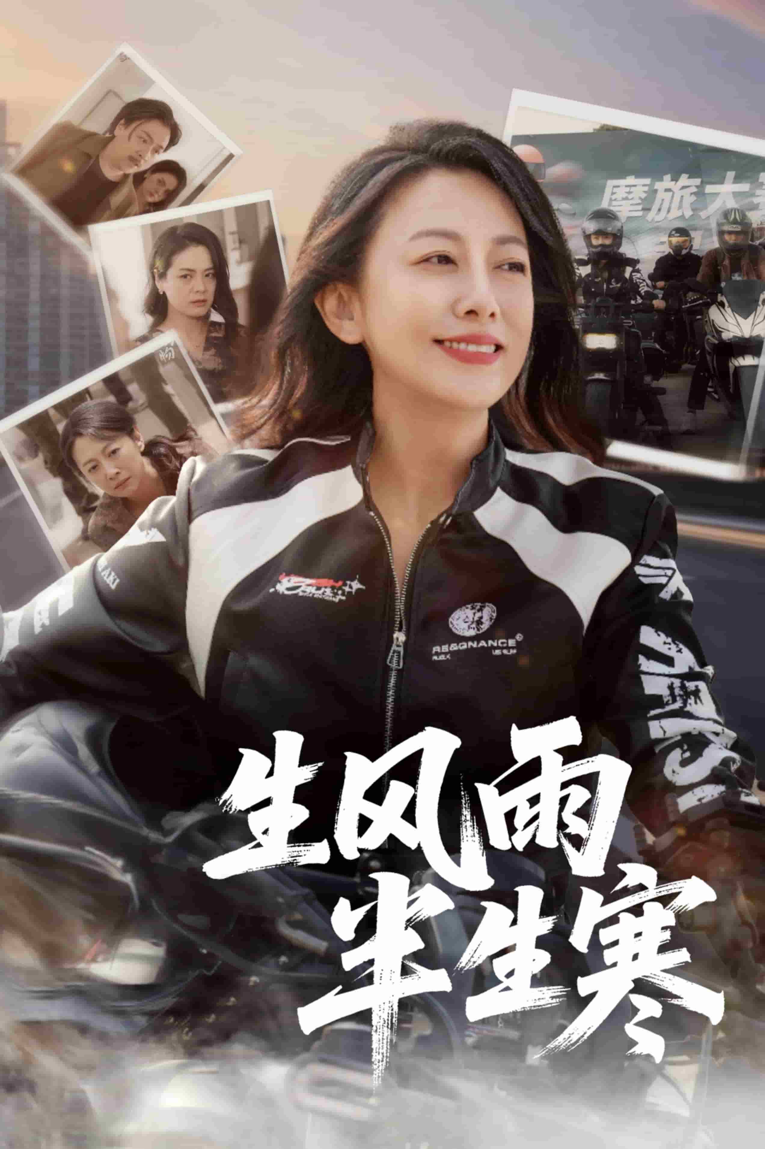 半生風雨半生寒(全集)