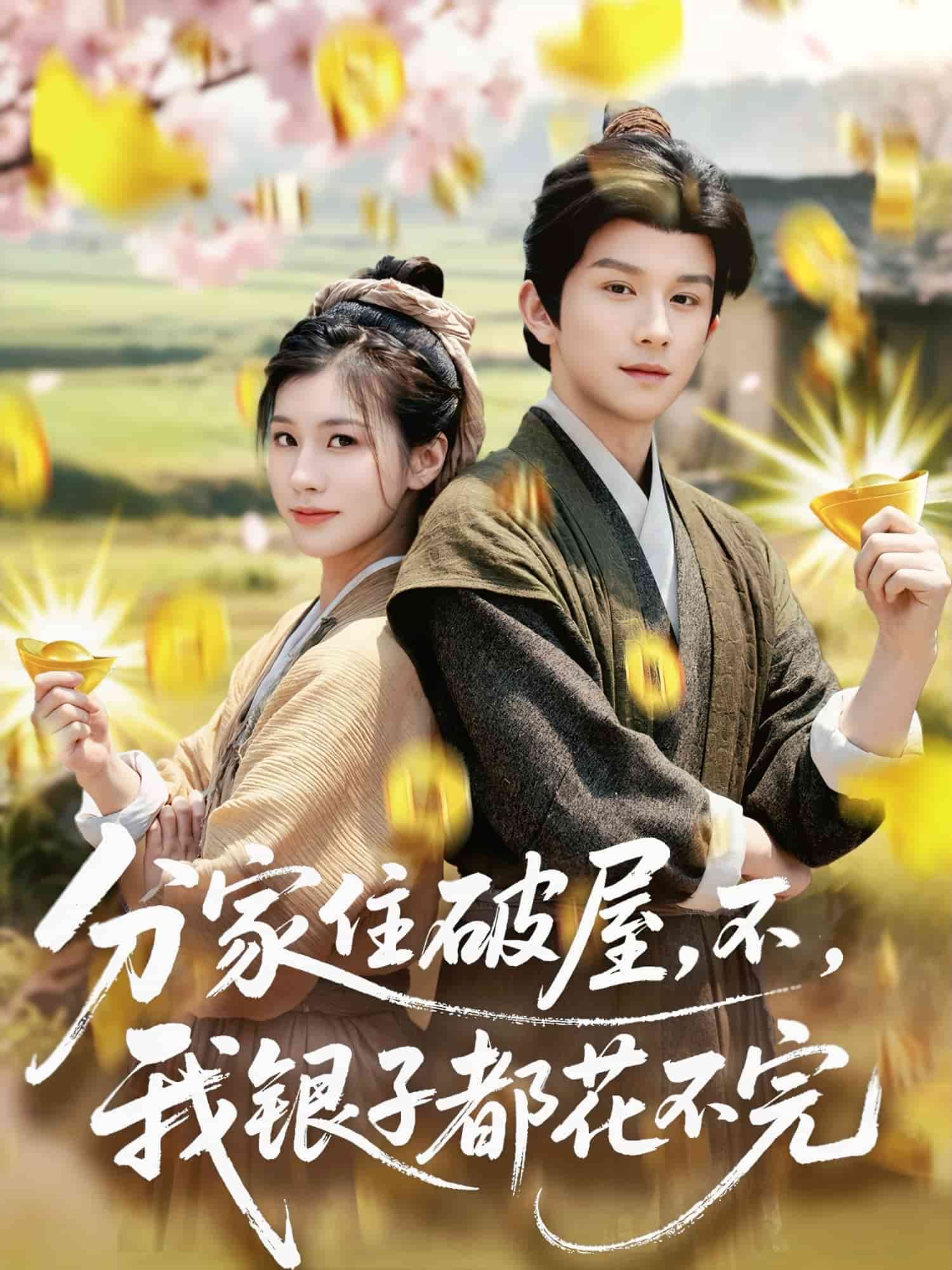 分家住破屋，不，我銀子都花不完(全集)