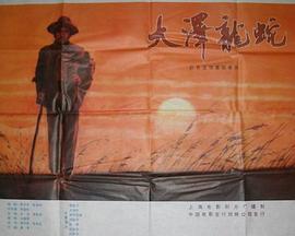 大澤龍蛇(全集)