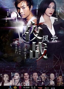 夜戰風云(全集)