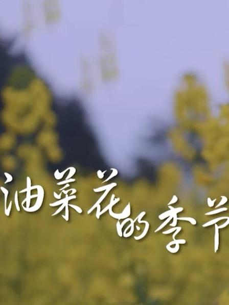 油菜花開的季節(jié)(全集)