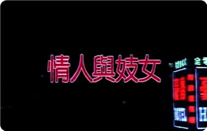 情人與妓女(全集)